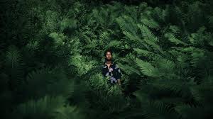 Two Suns (Online & In Theatre)